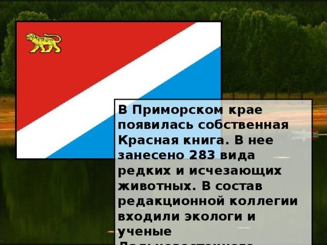 В Приморском крае появилась собственная Красная книга. В нее занесено 283 вида редких и исчезающих животных. В состав редакционной коллегии входили экологи и ученые Дальневосточного отделения Российской академии наук. 