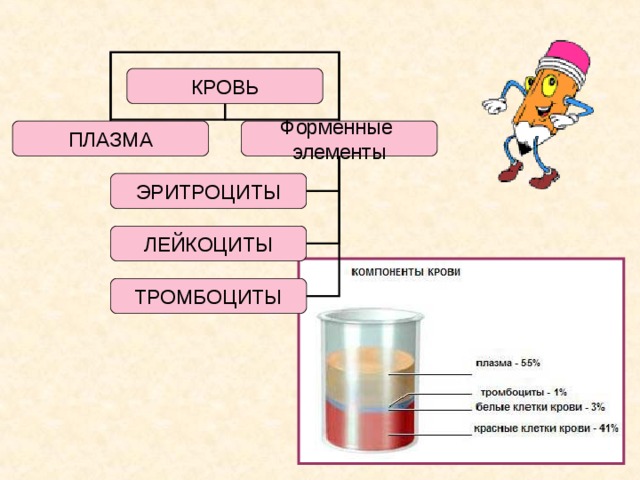 Заполните схему состав крови