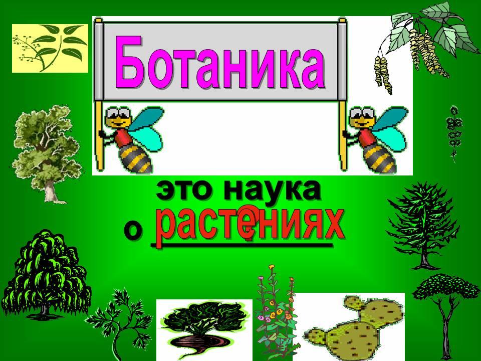 Наука ботаника презентация