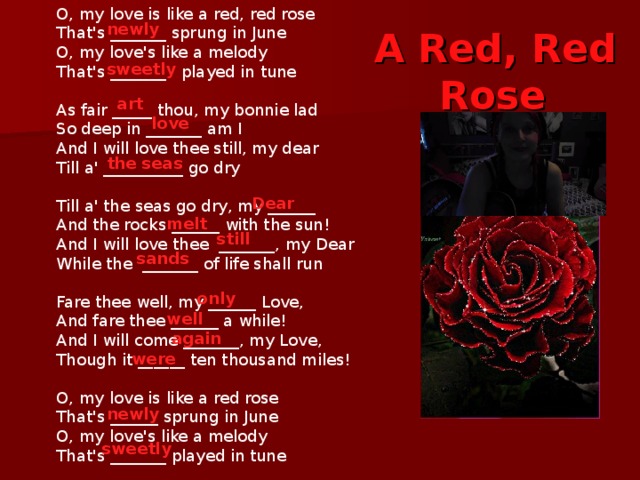 Love me like you перевод на русский. Red Rose стихотворение. My Love is like a Red Red Rose стихотворение. A Red Red Rose. Ред ред Роуз стих.