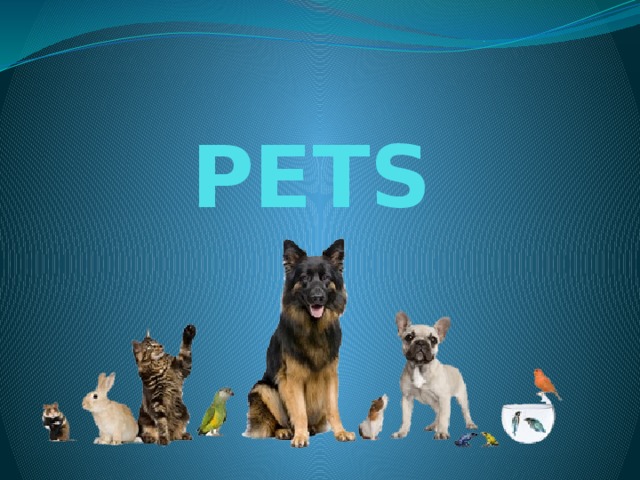 PETS 
