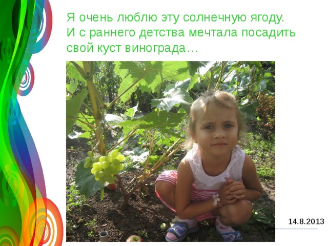 Я очень люблю эту солнечную ягоду. И с раннего детства мечтала посадить свой куст винограда… 120 70 50 30 200 8 200 9 20 10 20 11 Название графика 14.8.2013 