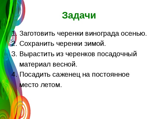 Задачи  1. Заготовить черенки винограда осенью.  2. Сохранить черенки зимой.  3. Вырастить из черенков посадочный  материал весной.  4. Посадить саженец на постоянное  место летом. 
