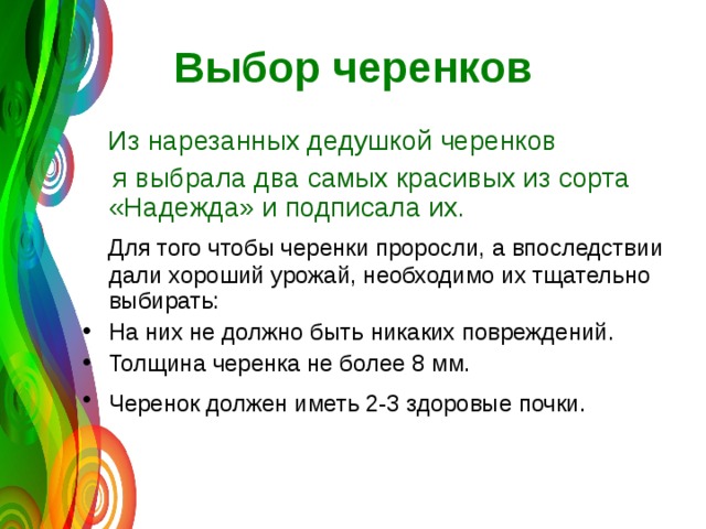 Выбор черенков  Из нарезанных дедушкой черенков  я выбрала два самых красивых из сорта «Надежда» и подписала их.  Для того чтобы черенки проросли, а впоследствии дали хороший урожай, необходимо их тщательно выбирать: На них не должно быть никаких повреждений. Толщина черенка не более 8 мм. Черенок должен иметь 2-3 здоровые почки.  