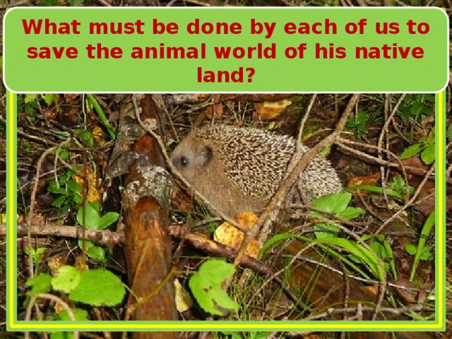What must be done by each of us to save the animal world of his native land?  