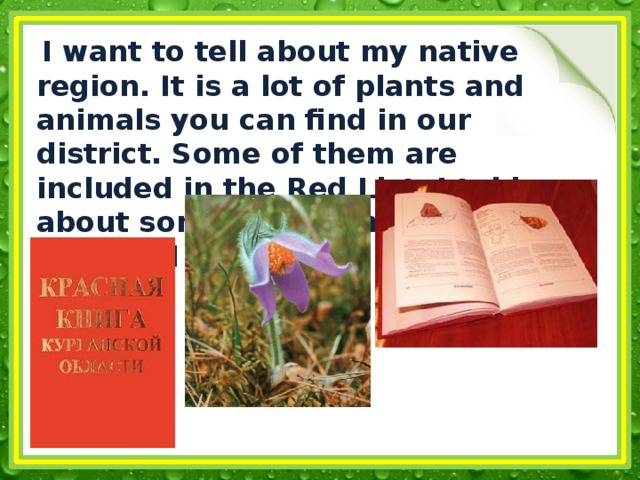  I want to tell about my native region. It is a lot of plants and animals you can find in our district. Some of them are included in the Red List. I told about some representatives of flora and fauna 
