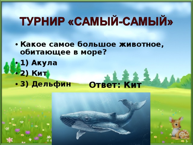 Какое самое большое животное, обитающее в море? 1) Акула 2) Кит 3) Дельфин  Ответ: Кит 