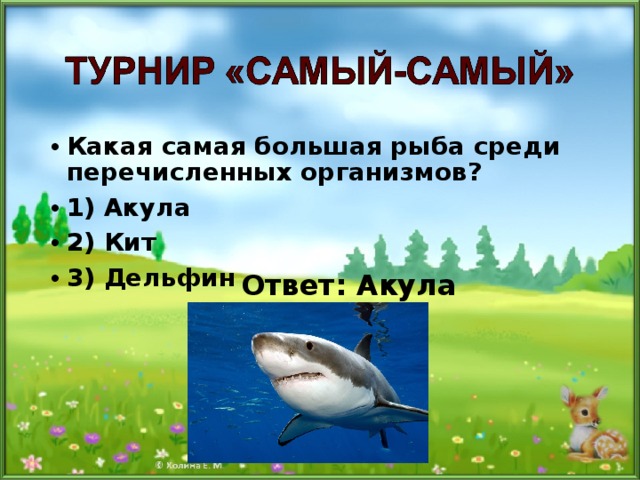 Какая самая большая рыба среди перечисленных организмов? 1) Акула 2) Кит 3) Дельфин  Ответ: Акула 