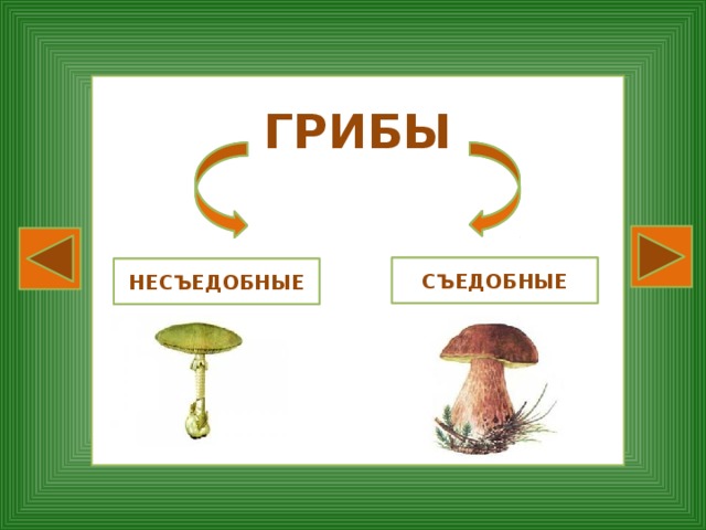 Презентация грибы съедобные и несъедобные для дошкольников