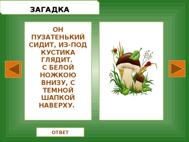 Загадка в темной комнате на белой простыне два часа удовольствия