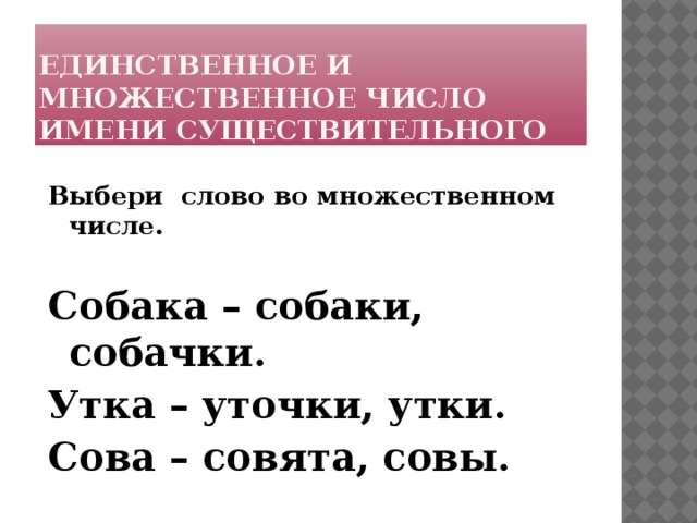 Есть слово сук. Сук во множ числе. Сучья во множественном числе. Сук во множественном числе. Как во множественном числе сук.