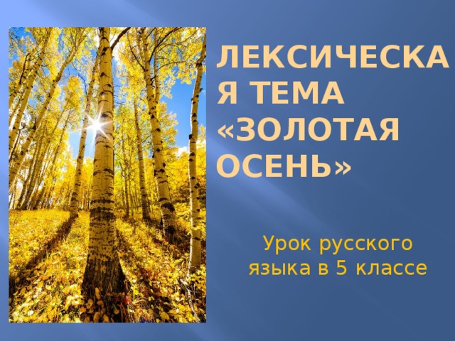 Лексическая тема «Золотая осень» Урок русского языка в 5 классе 