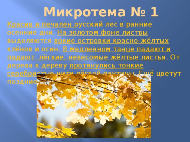 Микротема № 1 Красив и печален русский лес в ранние осенние дни. На золотом фоне листвы выделяются яркие островки красно-жёлтых клёнов и осин. В медленном танце падают и падают лёгкие, невесомые жёлтые листья . От дерева к дереву протянулись тонкие серебристые нити лёгкой паутины . Ещё цветут поздние осенние цветы. 