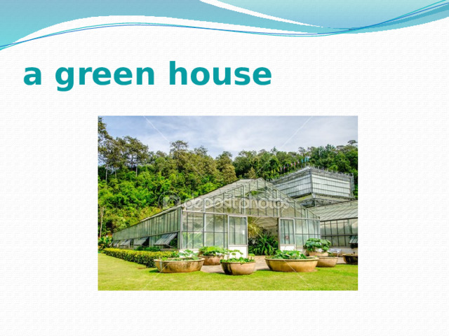 a green house 