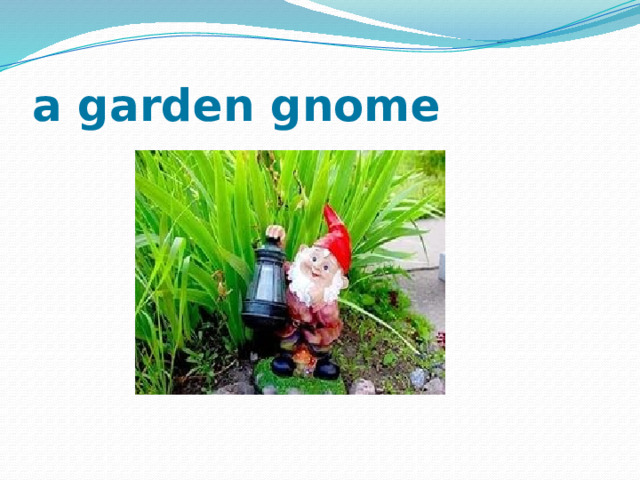a  garden gnome 