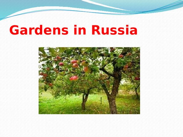 Gardens in Russia 
