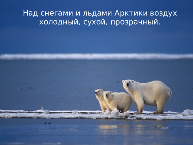 Над снегами и льдами Арктики воздух холодный, сухой, прозрачный. 
