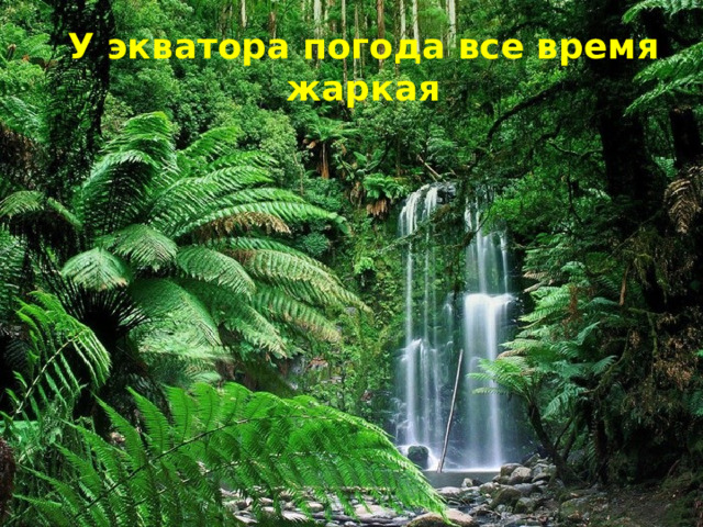 У экватора погода все время жаркая 