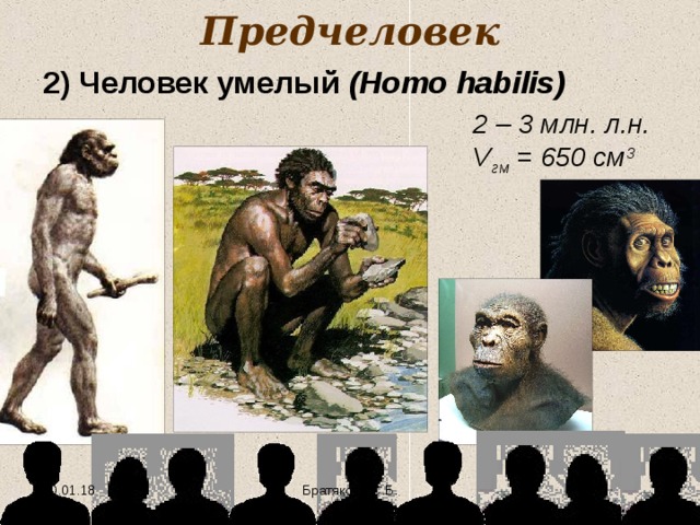 Предчеловек 2) Человек умелый (Homo habilis ) 2 – 3 млн. л.н. V гм = 650 см 3 10.01.18  Братякова С.Б. 