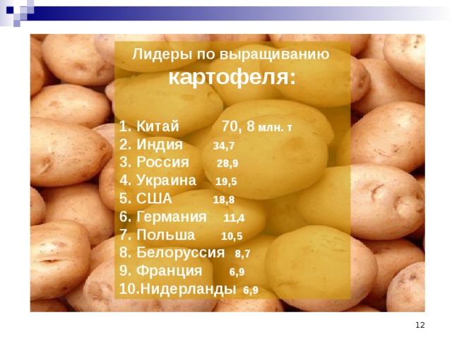 Лидеры по выращиванию  картофеля:  Китай 70, 8 млн. т Индия 34,7 Россия 28,9 Украина 19,5 США 18,8 Германия 11,4 Польша 10,5 Белоруссия 8,7 Франция 6,9 Нидерланды 6,9  