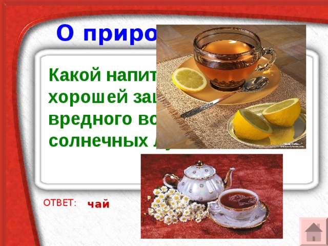 О природе У кого одна нога, да и та без сапога? гриб ОТВЕТ: 