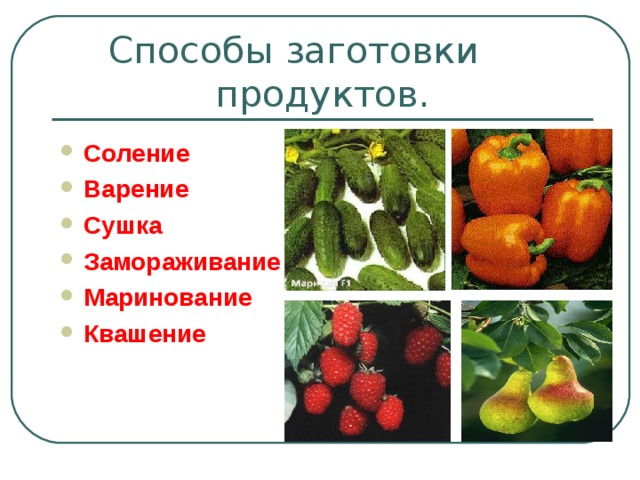 Заготовка продуктов впрок презентация сбо 8 класс