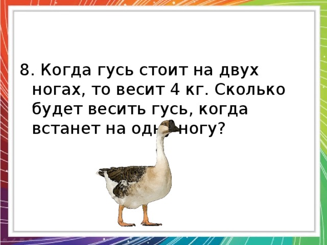 Сколько весит гусь. Гусь весит на двух ногах. Сколько кг весит Гусь. Гусь на 1 ноге.