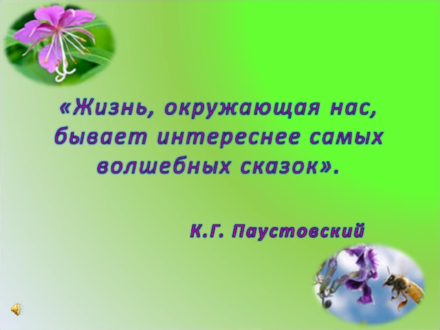 Рисунок к рассказу заботливый цветок паустовский