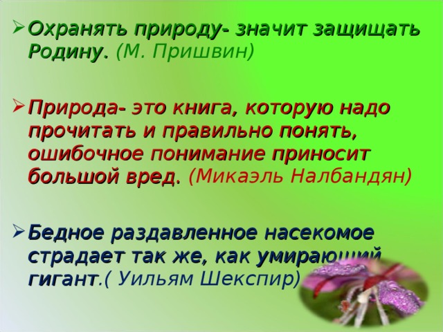 К г паустовский заботливый цветок конспект урока 6 класс презентация