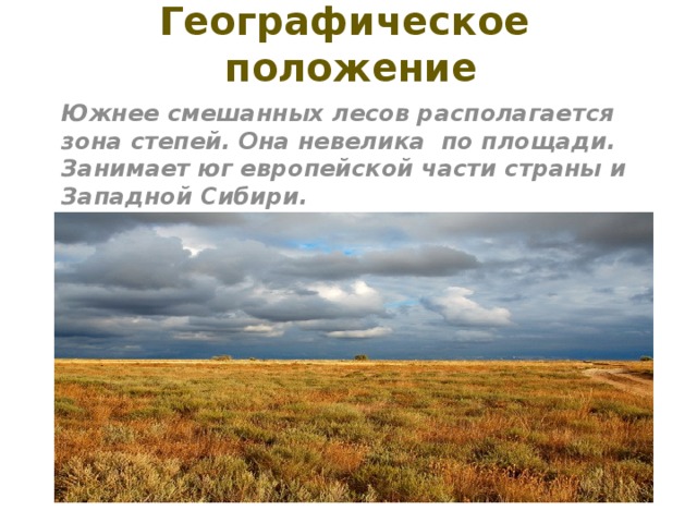 В россии зона степей расположена. Географическое положение степи. Расположение природной зоны степи.