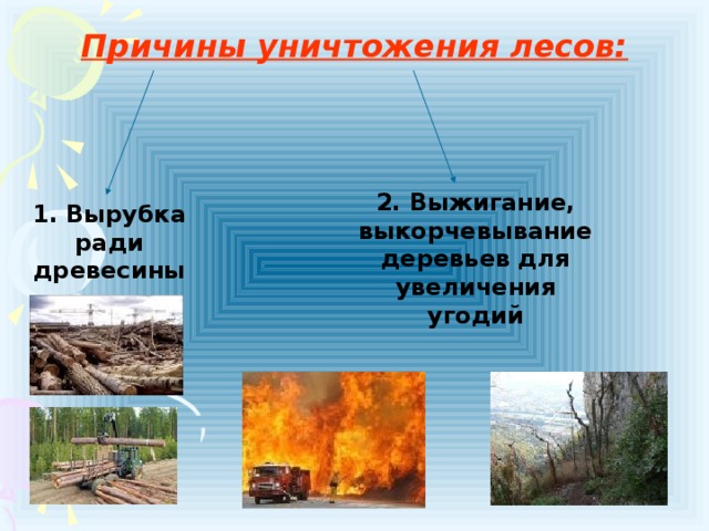 Причины уничтожения лесов:  2. Выжигание, выкорчевывание деревьев для увеличения угодий 1. Вырубка ради древесины 