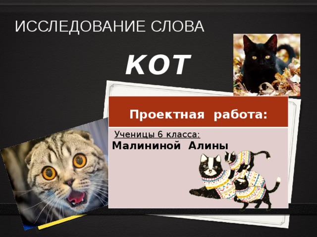 Значение слова кот