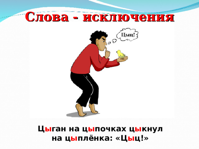 Предложение на цыпочках. Слова исключения на цы. Слова исключения на цы и Ци. Слова исключения на цы в стихах.