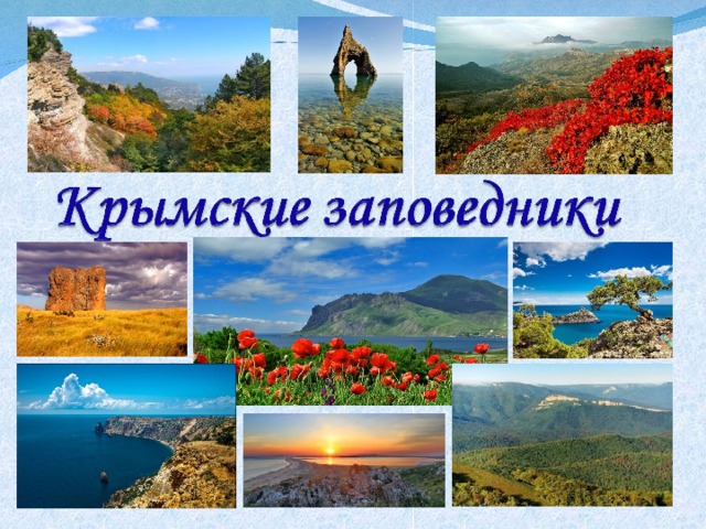 Проект заповедники крыма