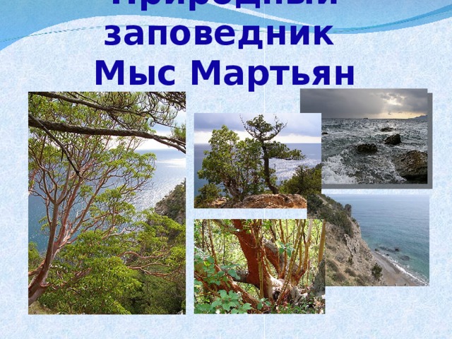 Заповедник мыс. Природный заповедник мыс Мартьян. Мыс Мартьян заповедник фауна. Природный заповедник мыс Мартьян Крым. Мыс Мартьян растения.