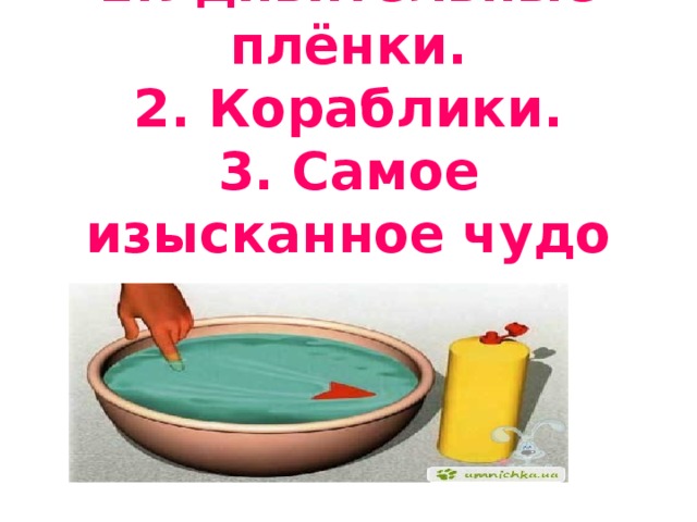 1.Удивительные плёнки.  2. Кораблики.  3. Самое изысканное чудо природы.   