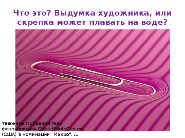 Что это? Выдумка художника, или скрепка может плавать на воде? тяжения Победи на тель фотоконкурса DigitalPhotoContest (США) в номинации 