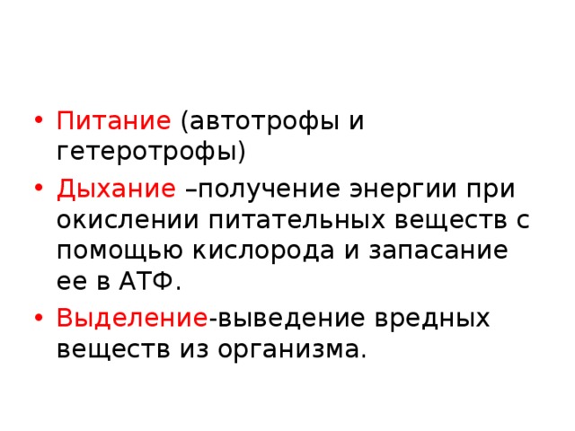 Питание автотрофов. Дыхание гетеротрофов. Автотрофы дыхание. Автотрофы и гетеротрофы дыхание. Гетеротрофы Тип дыхания.