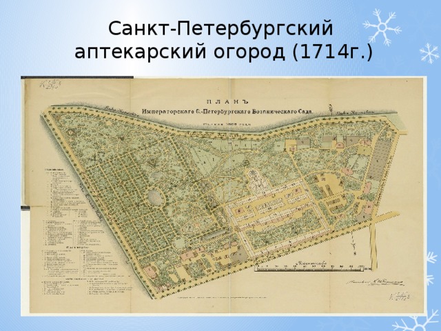 Аптекарский огород пушкинская карта