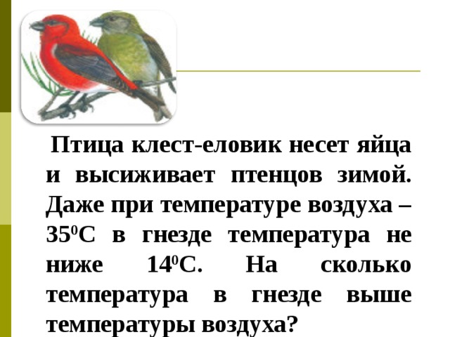 Птица клест-еловик несет яйца и высиживает птенцов зимой. Даже при температуре воздуха – 35 0 С в гнезде температура не ниже 14 0 С. На сколько температура в гнезде выше температуры воздуха?