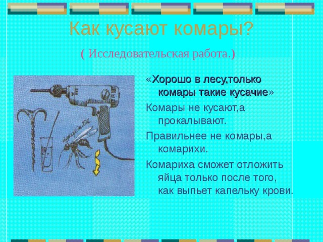 Как кусают комары?  ( Исследовательская работа.) « Хорошо в лесу,только комары такие кусачие » Комары не кусают,а прокалывают. Правильнее не комары,а комарихи. Комариха сможет отложить яйца только после того, как выпьет капельку крови. 