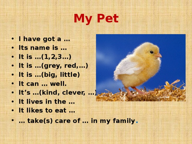 My pet 3 класс. Тема my Pet. Сочинение my Pet. Проекты на тему my Pet.