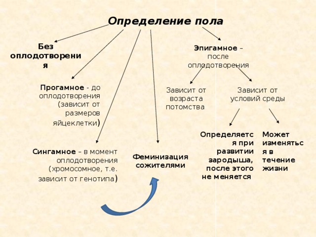 Какие вам известны механизмы определения пола приведите