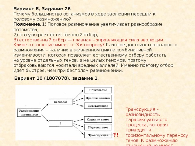 Большинство организмов