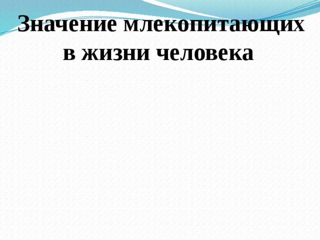 Схема значение млекопитающих в природе и жизни человека