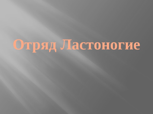 Отряд Ластоногие 