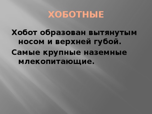 ХОБОТНЫЕ Хобот образован вытянутым носом и верхней губой. Самые крупные наземные млекопитающие. 