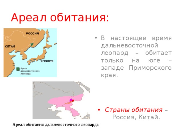 Дальневосточный леопард карта обитания