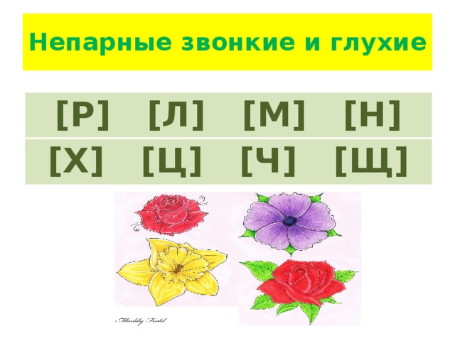 Непарные звонкие и глухие [Р] [Л] [М] [Н] [Х] [Ц] [Ч] [Щ] 