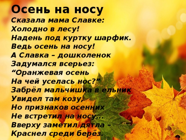              Осень на носу  Сказала мама Славке:  Холодно в лесу!  Надень под куртку шарфик.  Ведь осень на носу!  А Славка – дошколенок  Задумался всерьез:  “Оранжевая осень  На чей уселась нос?”  Забрёл мальчишка в ельник  Увидел там козу,  Но признаков осенних  Не встретил на носу...  Вверху заметил дятла –  Краснел среди берёз.   
